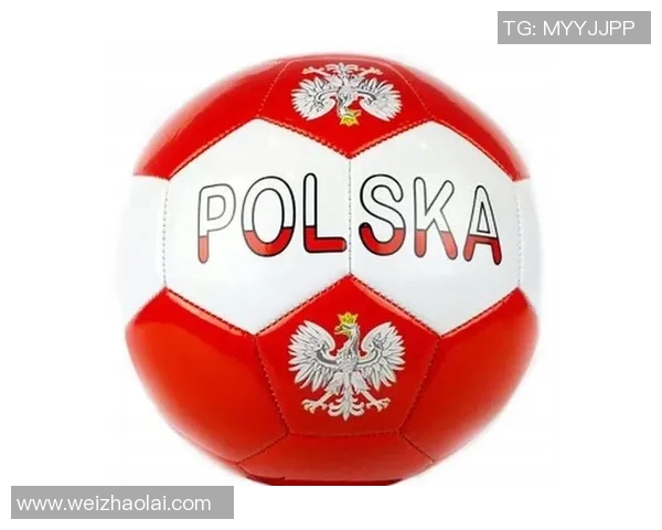 明星球员表现分析：莱万多夫斯基进球解析